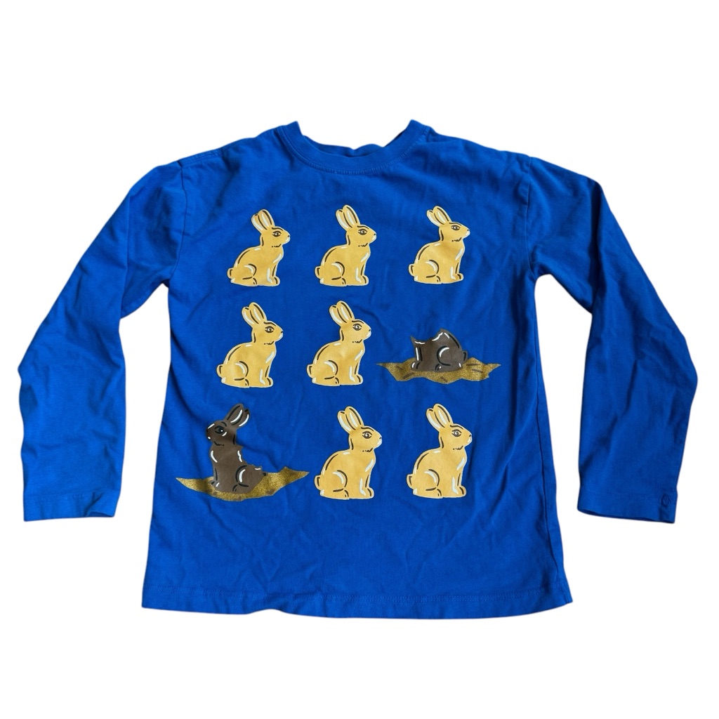Hanna Blue Boys L/S Tee With Bunny Print Sz 8